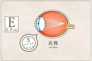 2024全明星投票方案：12月20日开始 1月21日结束 共6个三倍投票日